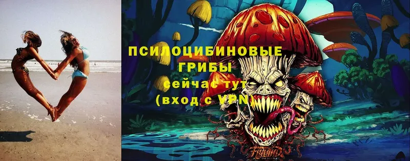 KRAKEN сайт  Кириллов  Галлюциногенные грибы Psilocybine cubensis 